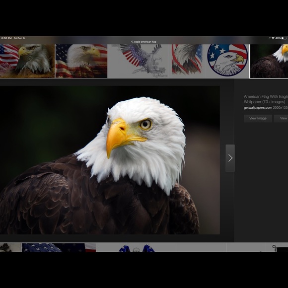 Meet your Posher, Brenda - Picture 1 of 1